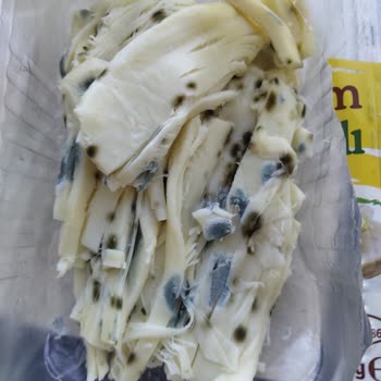 Hızla Küflenen Peynir Ve İlgisiz Müşteri Hizmetleri