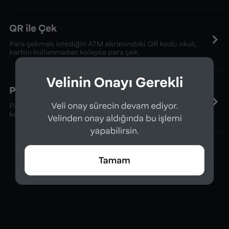 Papara NFC Eksikliği Nedeniyle Hesap Doğrulama Sorunu
