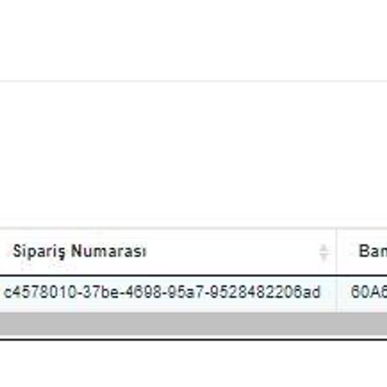 Garanti Hesabımdan Çekilen Para 20 Gündür Kayıp!