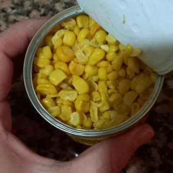 Kötü Koku Yayan Tukaş Mısır Ürünü