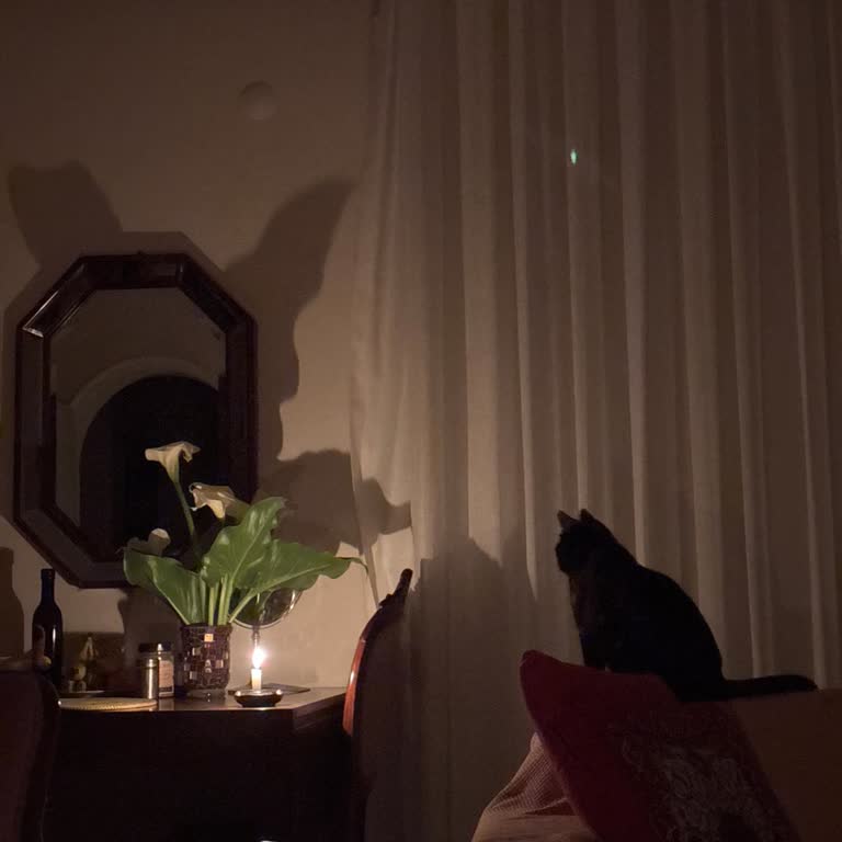 Elektrik Kesintileriyle Mağduriyet: Bebek Ve Yaşlılar Tehlikede!