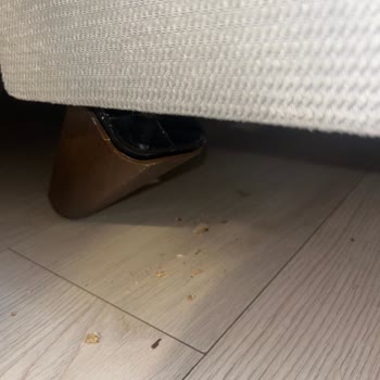 Kelebek Mobilya'da Hayal Kırıklığı: Kalitesiz Ürün Ve Yetersiz Müşteri Hizmeti