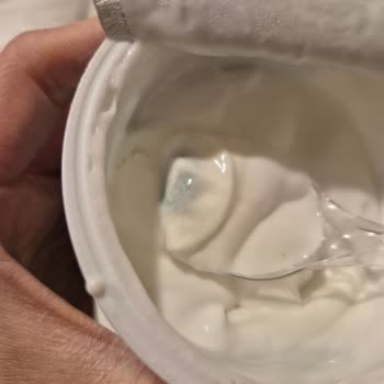 Küflü Vegan Yoğurtla Sağlık Riski