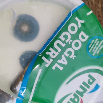 Tarihi Geçmemiş Yoğurt Küflenmesi Sorunu