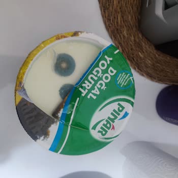 Tarihi Geçmemiş Yoğurt Küflenmesi Sorunu