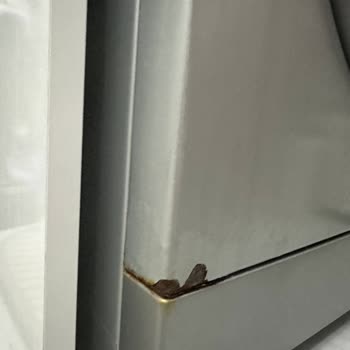 Arçelik Ürünü Kabardı: Güvenim Sarsıldı