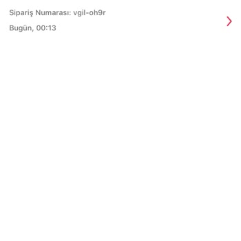 Sipariş Teslim Edilmedi, Misafirlerime Mahcup Oldum