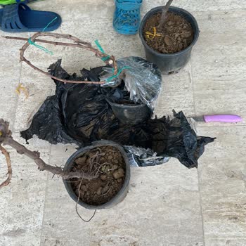 Fidancidan.com Kuruyan Ürünler ve Kötü Müşteri Hizmetleri