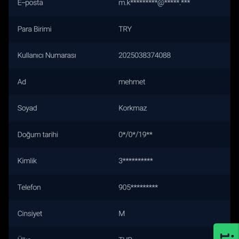 Yatırımımın Yanlış Yere Yönlendirilmesi Ve Destek Ekibinin İlgisizliği