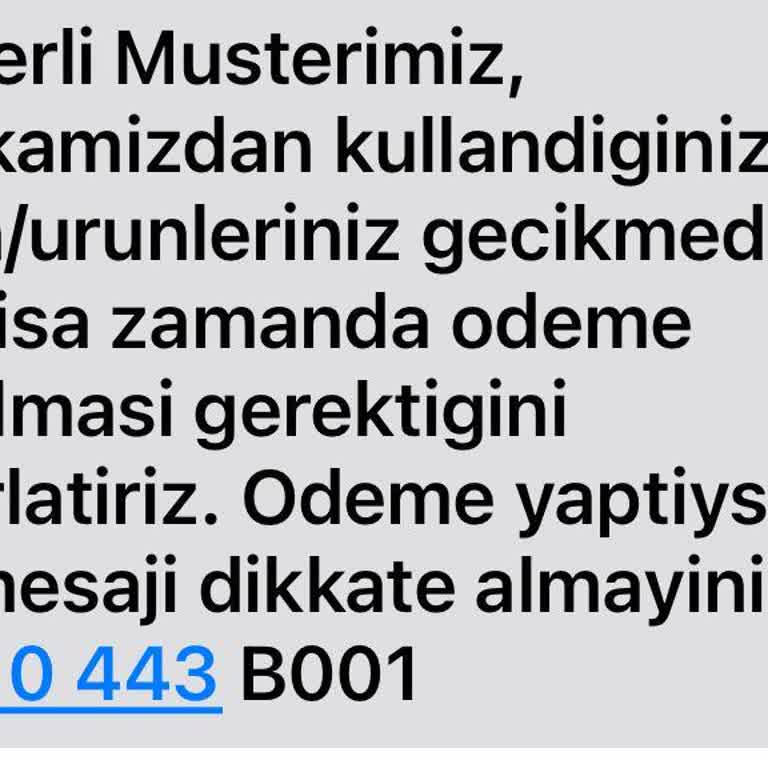 Yapı Kredi Business Kart Sorunu: Borç Görüntüleme Ve Ödeme Zorluğu