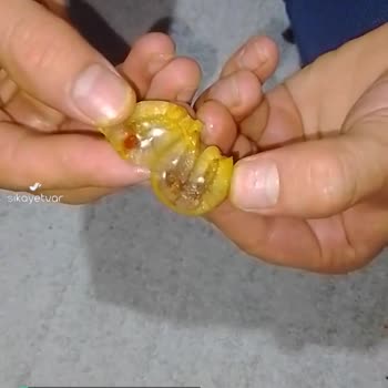 BİM İnci Küflü Zeytin Çıktı