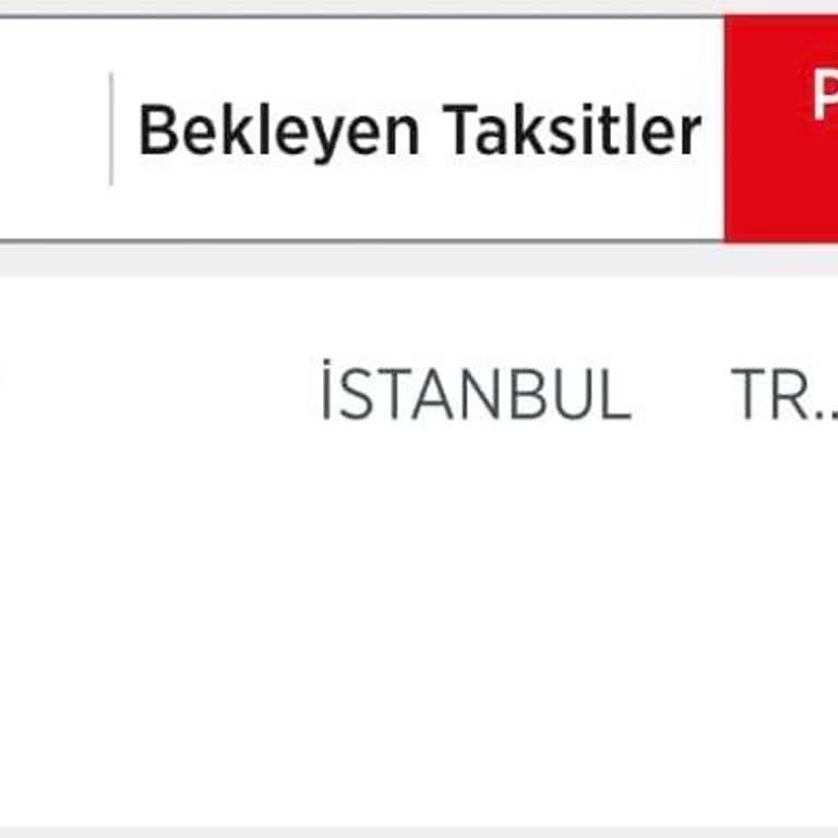 Belgrad'dan Kayseri'ye Bilet Sorunu: Ödeme Alındı, Bilet Gelmedi