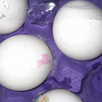 Küflü Ve Çatlak Yumurtalarla Sağlığımız Tehlikede