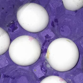 Küflü Ve Çatlak Yumurtalarla Sağlığımız Tehlikede