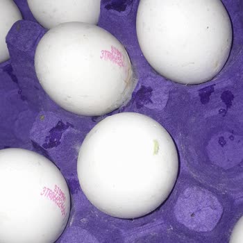 Küflü Ve Çatlak Yumurtalarla Sağlığımız Tehlikede