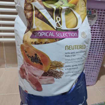 Kedim Yeni Mamayı Kabul Etmiyor