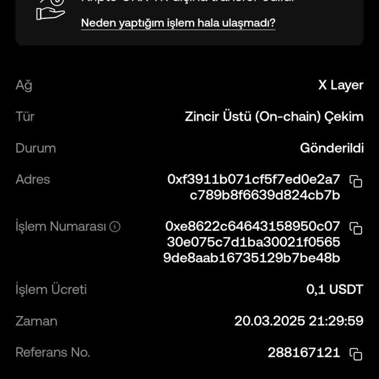 Yanlış Kanalla Gönderilen 20 USDT'nin İadesi Bekleniyor