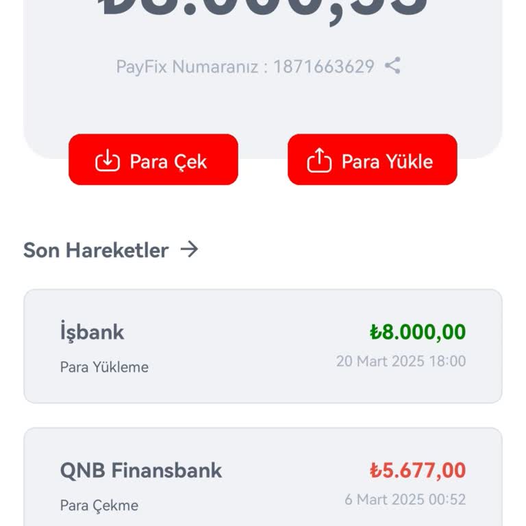 Payfix Para Transferlerinde Erişim Engeli Ve İade Sorunu