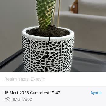 Kırılan Saksı Şoku