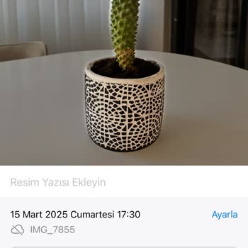 Kırılan Saksı Şoku