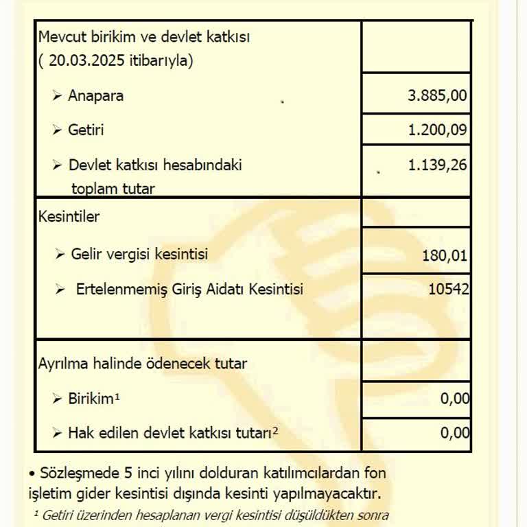 BES İptalinde Yanıltıcı Bilgilendirme Mağduriyeti