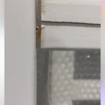 Doğa Montessori'de Yatak Siparişi Sorunu