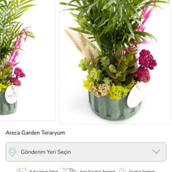 Taze Çiçek | Tazecicek.com Siparişim Görselden Farklı Ve Onay Süreci Sorunlu