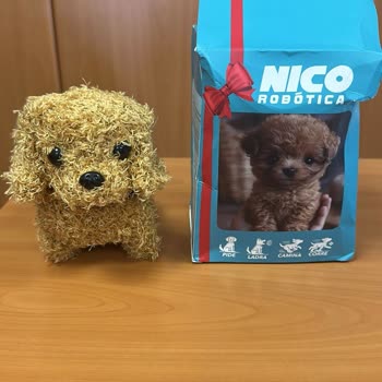 Hayal Kırıklığı Yaratan Alışveriş Deneyimi