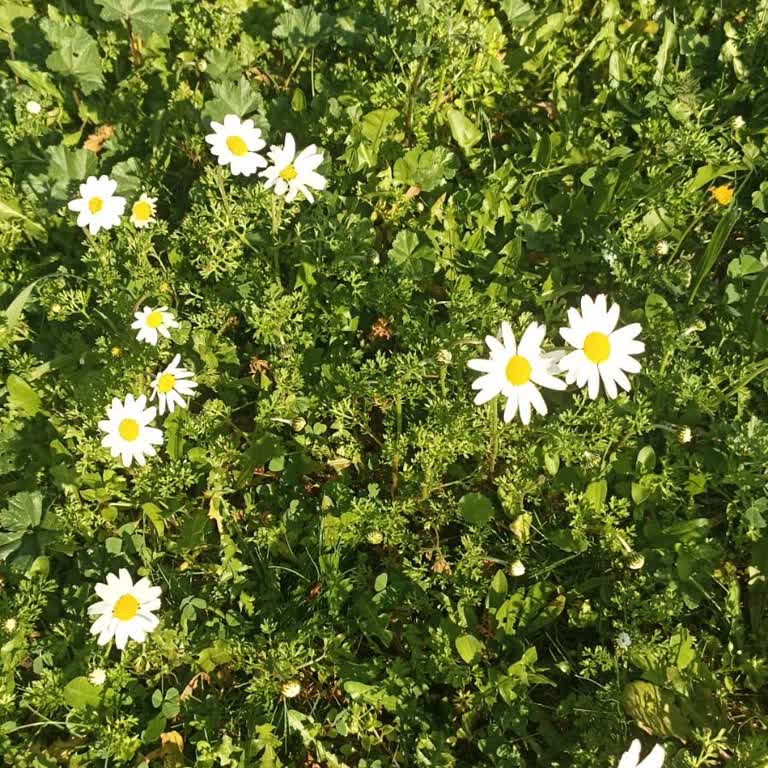 Yanlış Ücretlendirme Ve İndirim Sorunu