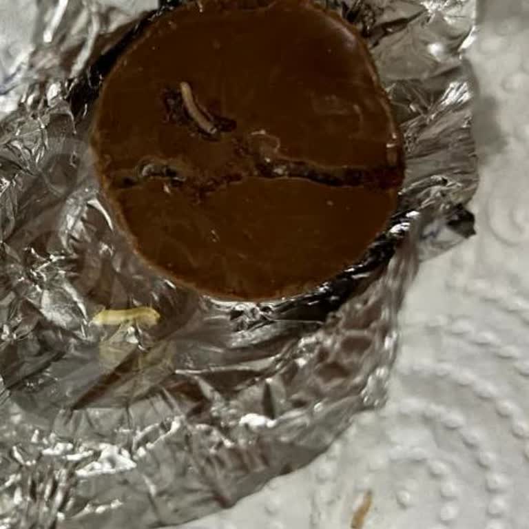 Ülker Ece Çikolatalarında Kurtlanma Şoku