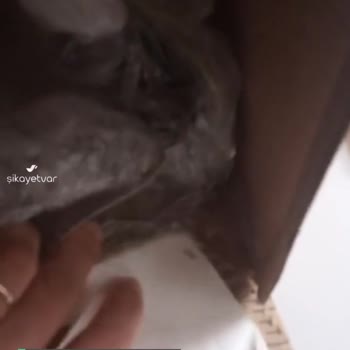 Taze Çiçek | Tazecicek.com Hediye Gelen Çiçeğim İkinci Kez Kırık Geldi