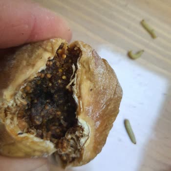 Kusurlu Ürün Ve Eksik İade Sorunu