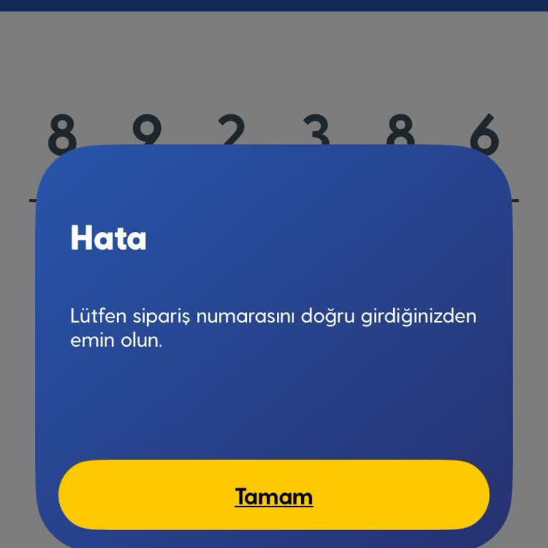 Online Hat Taşıma Sürecinde Yaşanan Aktivasyon Sorunu