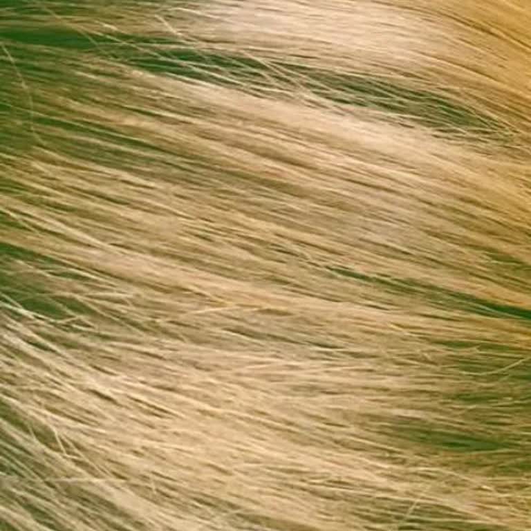 Glam Hair Studio İstediğim Renk Yapılmadı