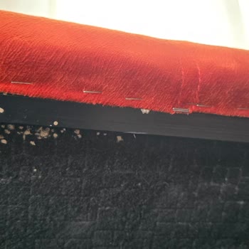 Enza'dan Aldığımız Koltuğun Kalitesizliği Ve Mağduriyetimiz