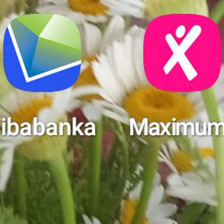 Reeder S19 Max WhatsApp Bildirim Sorunu