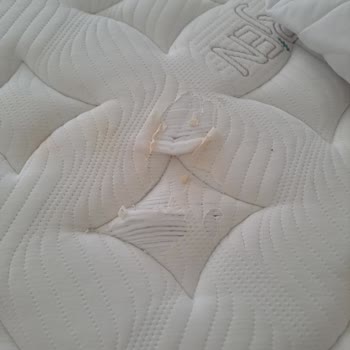 Bambi Yatakta Beklenmedik Sorun Ve Müşteri Hizmetleri Hayal Kırıklığı