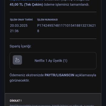 Lisanscin.com Netflix Üyeliği Satın Alma Sorunu