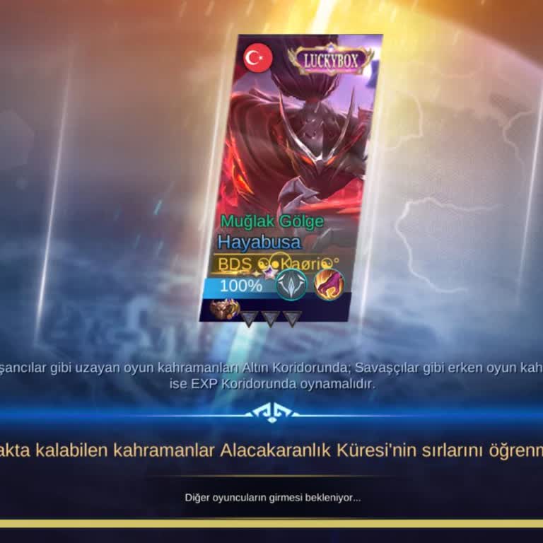 Oyunda Yaşanan Erişim Sorunu