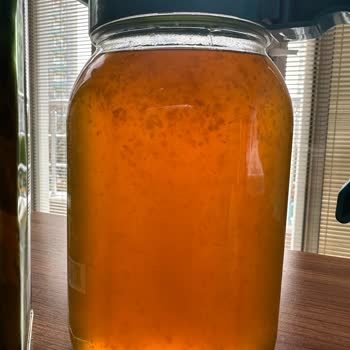 Fiskobirlik Fındık Yağında Beklenmedik Tortular Ve Sağlık Endişesi