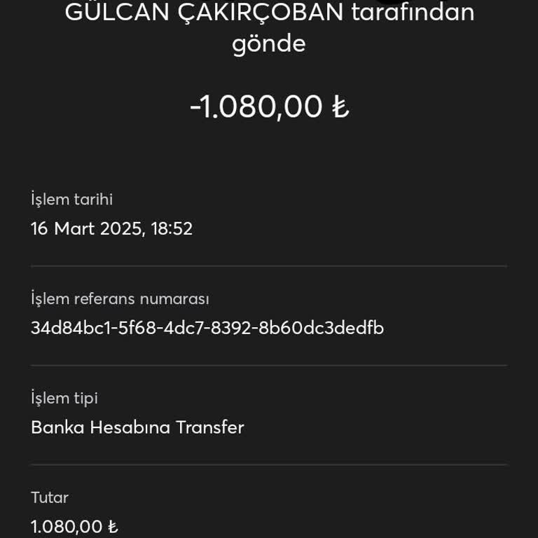 İninal Transfer Sorunu Ve Para İadesi Beklentisi