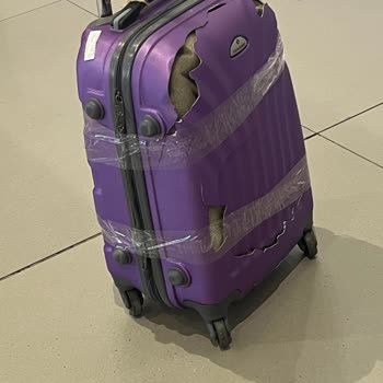 THY Uçuşunda Bavulum Paramparça Oldu Ve Tazminat Talebim Karşılanmadı