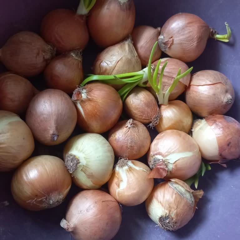 Getir'de Çürük Ürünler Ve Yetersiz Müşteri Hizmeti