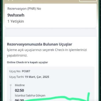 Pegasus'un Online Check-in Krizi: Mağduriyet Ve Ekstra Masraflar