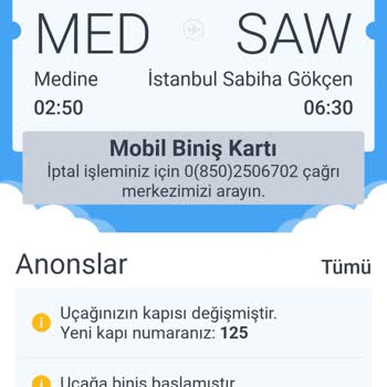 Pegasus'un Online Check-in Krizi: Mağduriyet Ve Ekstra Masraflar