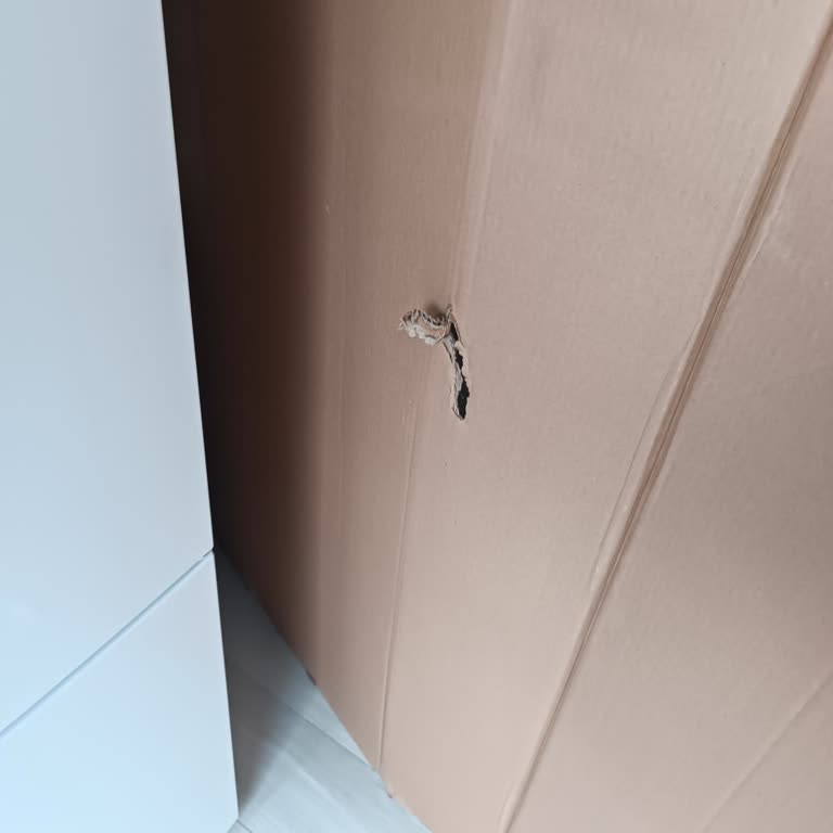 Buzdolabı Teslimatında Ezik Sorunu