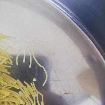 Markalı Ürünlerde Böceklenme İddiası