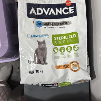 Kedilerime Kurtlu Mama Yedirildi: Mağduriyetim Giderilmiyor!