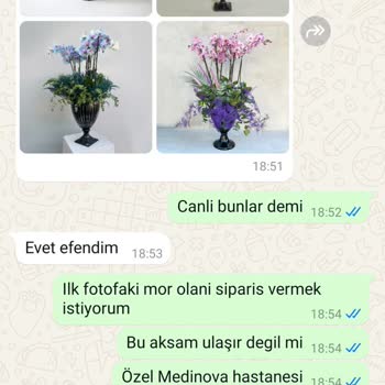 Çiçek Siparişi Kabusu: Teslimat Gerçekleşmedi