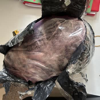 Trendyol Express İle Çözüm Bulunamayan İade Süreci